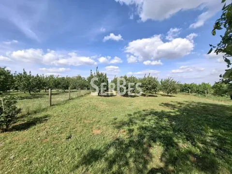 Prodaja, kuća, 45m², Maradik, Inđija - image 13