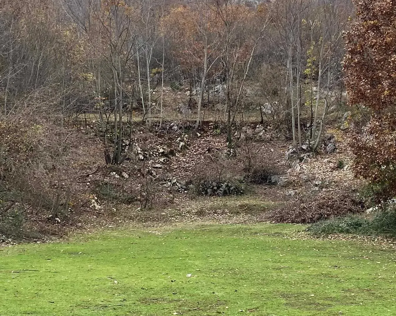Prodaja, kuća, 75000m², Zagreda, Danilovgrad