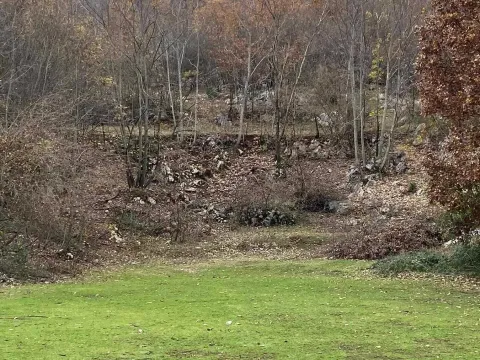 Prodaja, plac, 75000m², Zagreda, Danilovgrad - image 4