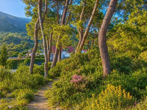 Prodaja, plac, 1500m², Mrčevac, Tivat - image 3