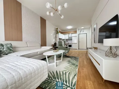 Izdavanje, jednosoban stan, 47m², Stari Aerodrom, Podgorica - image 3