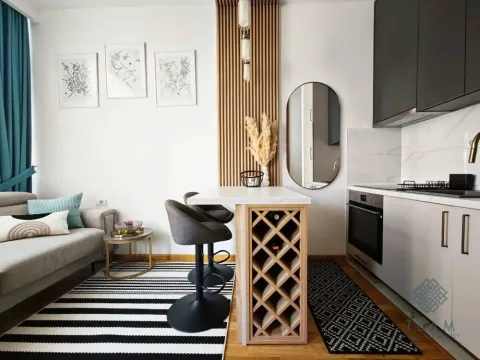 Rent, studio apartment, 24m², Zabjelo, Podgorica - image 5