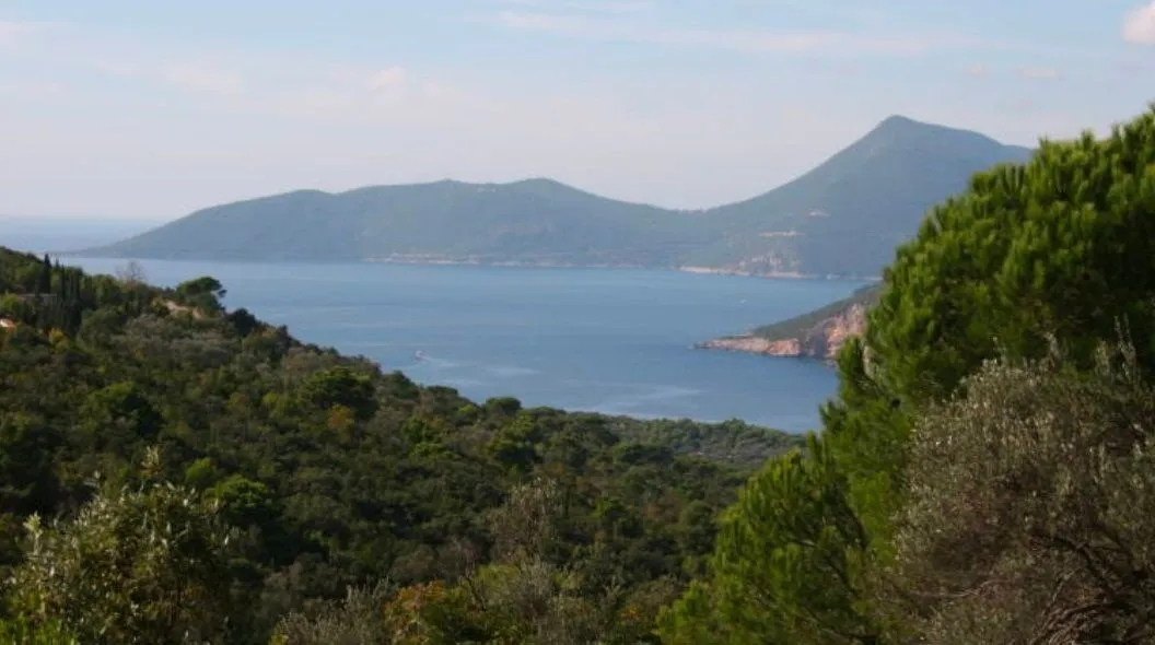Sale, land lot, 6500m², Luštica, Tivat