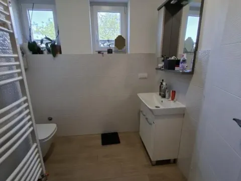 Sale, house, 333m², Misa, Pančevo - image 13