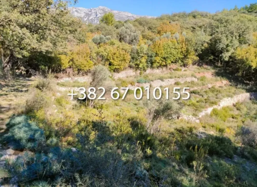 Prodaja, plac, 1600m², Zagrađe, Bar