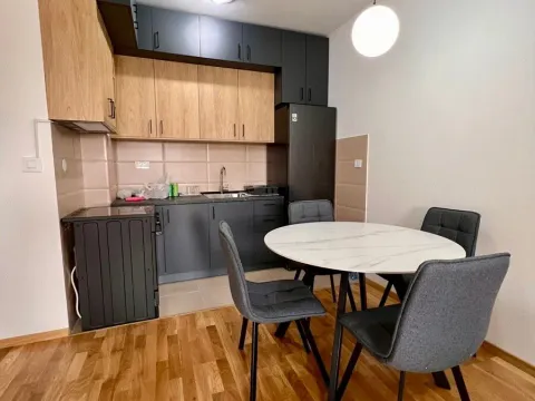 Izdavanje, jednosoban stan, 46m², Tuški Put, Podgorica