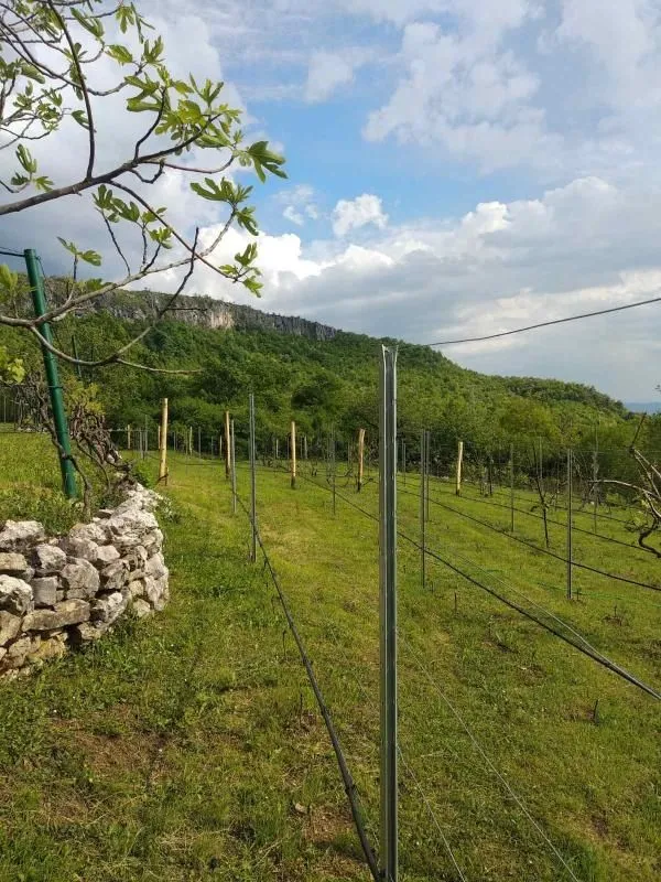 Prodaja, kuća, 180m², Danilovgrad, Crna Gora