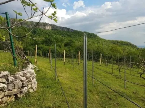 Sale, house, 180m², Danilovgrad, Crna Gora - image 4