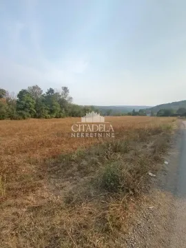 Pogled na prostrano zemljište pored seoskog puta sa drvećem u pozadini. - image 2