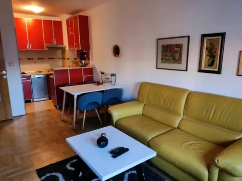 Izdavanje, jednosoban stan, 42m², Stari Aerodrom, Podgorica - image 6