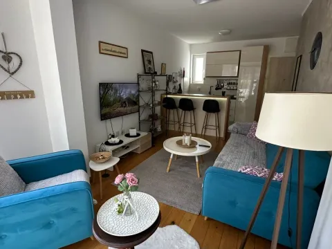 Izdavanje, jednosoban stan, 35m², Ljubović, Podgorica - image 15