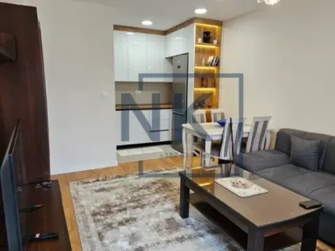 Izdavanje, jednosoban stan, 45m², Tuški Put, Podgorica - image 3