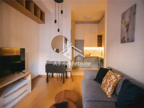 Izdavanje, dvosoban stan, 45m², Kalenić Pijaca, Vračar Sve Podlokacije - image 3