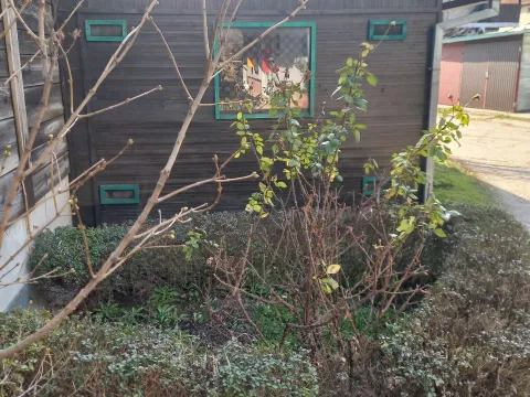 Prodaja, jednosoban stan, 35m², Novi Sad Sve Podlokacije, Novi Sad - image 16