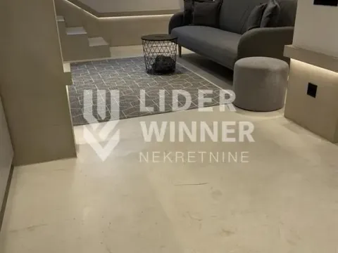 Izdavanje, kuća, 48m², Vračar Sve Podlokacije, Beograd - image 19