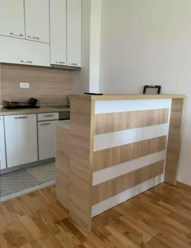 Izdavanje, jednosoban stan, 47m², Stari Aerodrom, Podgorica - image 5