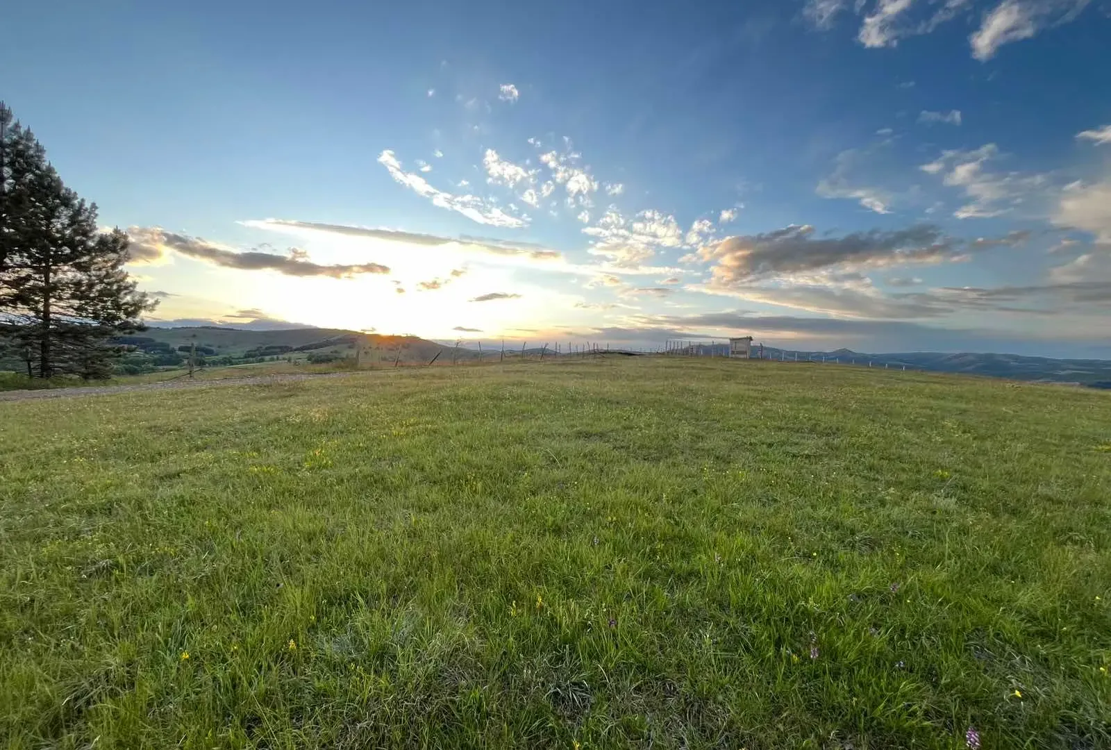 Prodaja, plac, 7500m², Tometino Polje, Požega