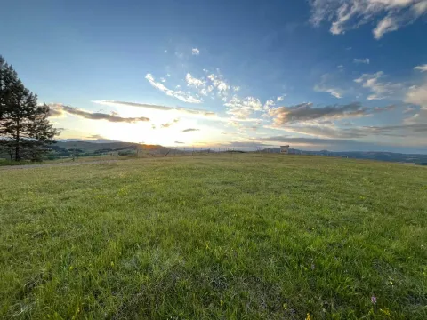 Prodaja, plac, 7500m², Tometino Polje, Požega - image 4