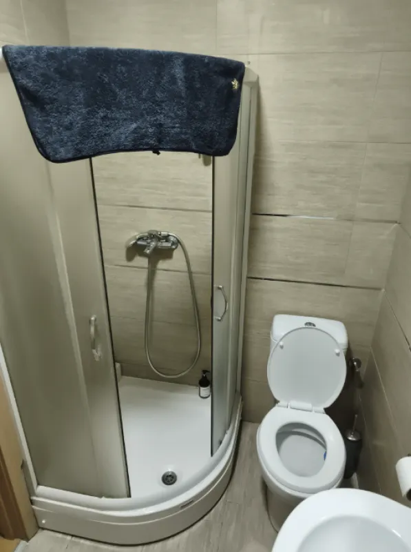 Kupatilo sa tuš kabinom i toaletom.