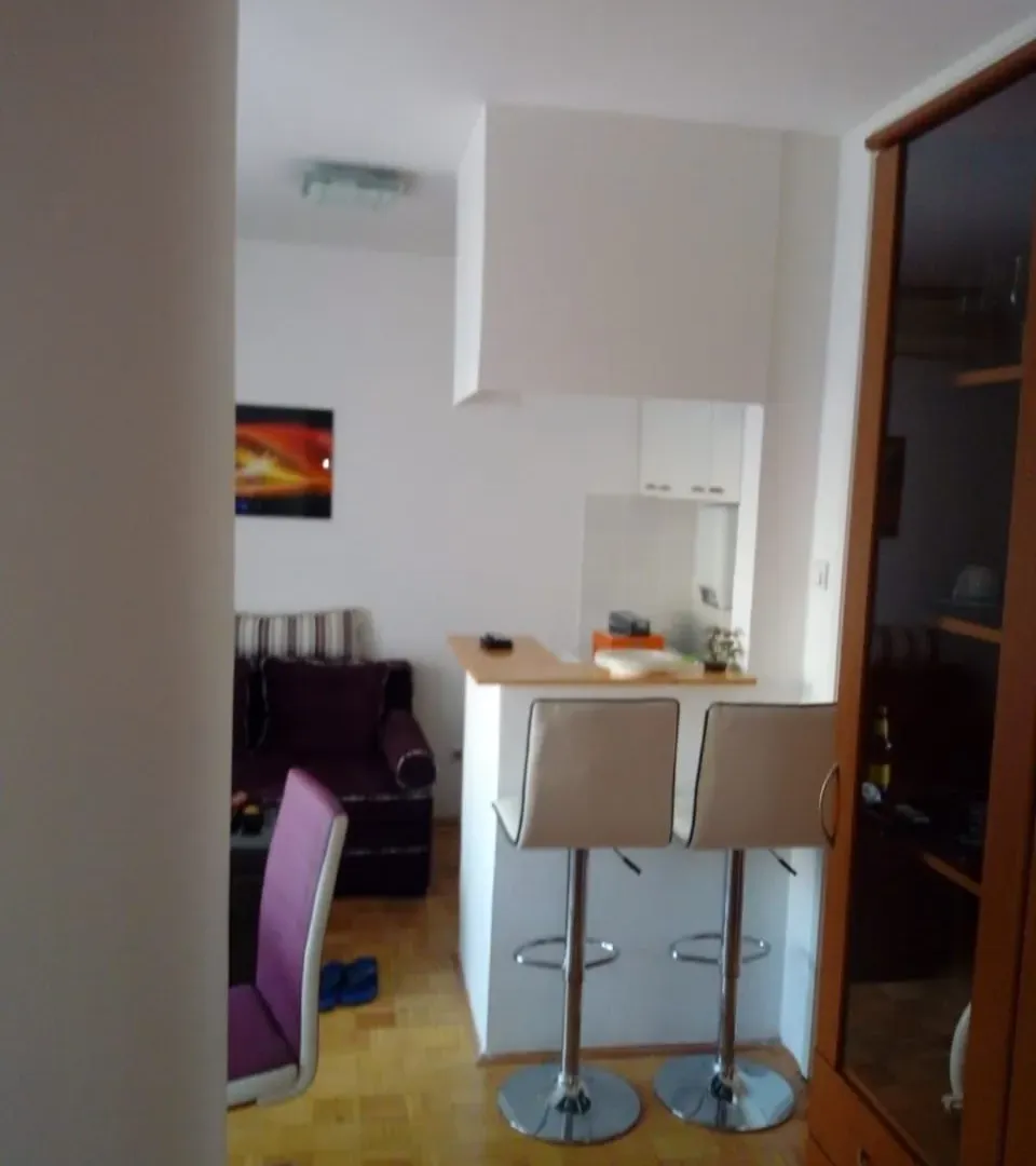 Izdavanje, jednosoban stan, 35m², Stari Aerodrom, Podgorica