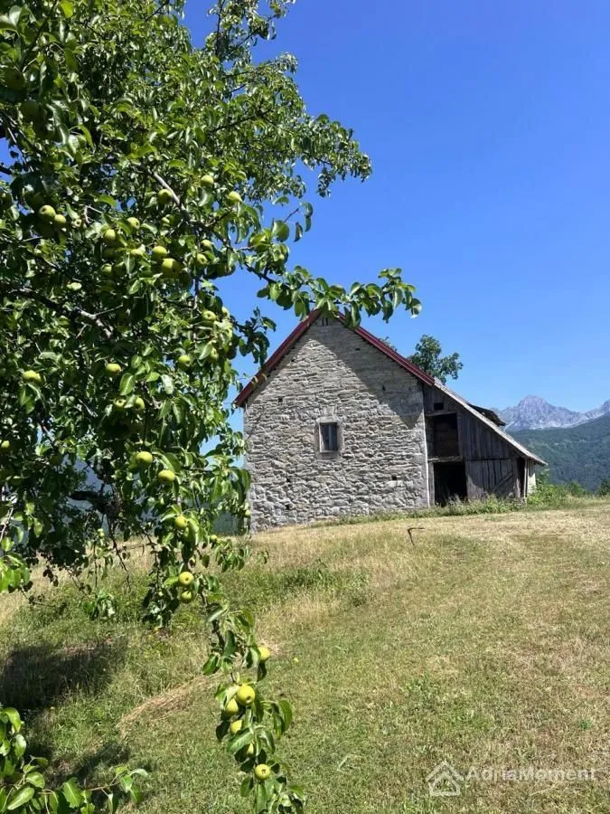 Prodaja, plac, 30000m², Moračko Trebaljevo, Kolašin