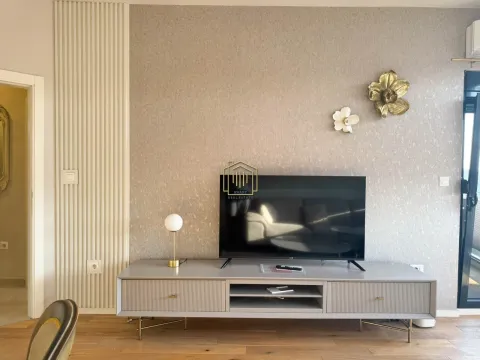 Rent, one bedroom apartment, 47m², Vezirov Most, Podgorica - image 11