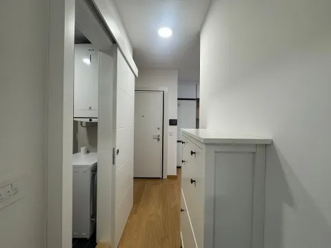 Izdavanje, dvosoban stan, 45m², Đeram Pijaca, Beograd - image 4