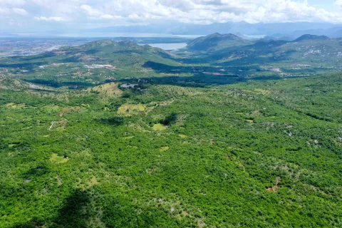 Prodaja, plac, 37000m², Lješanska Nahija, Podgorica - image 4