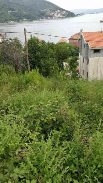 Zarasli plac sa pogledom na zaliv i okolne objekte.