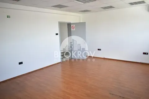 Rent, office space, 216m², Zemun Cara Dušana, Zemun Sve Podlokacije - image 2