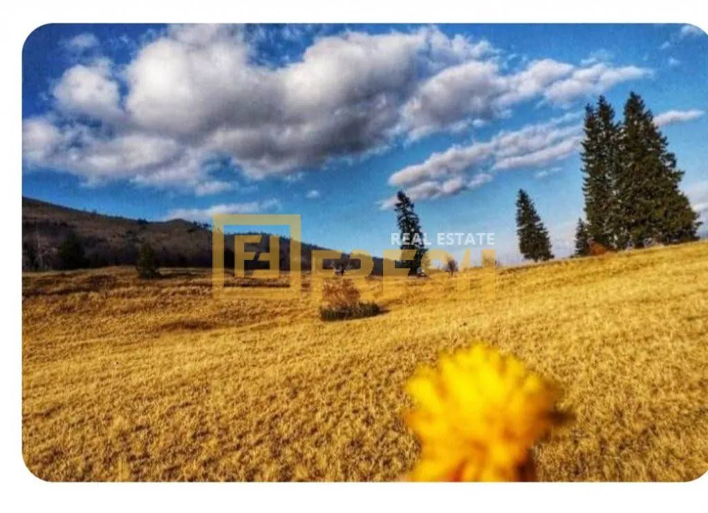 Prodaja, plac, 6000m², Berane, Crna Gora