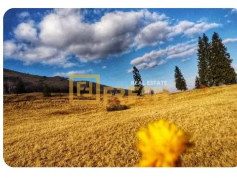 Prodaja, plac, 6000m², Berane, Crna Gora - image 13