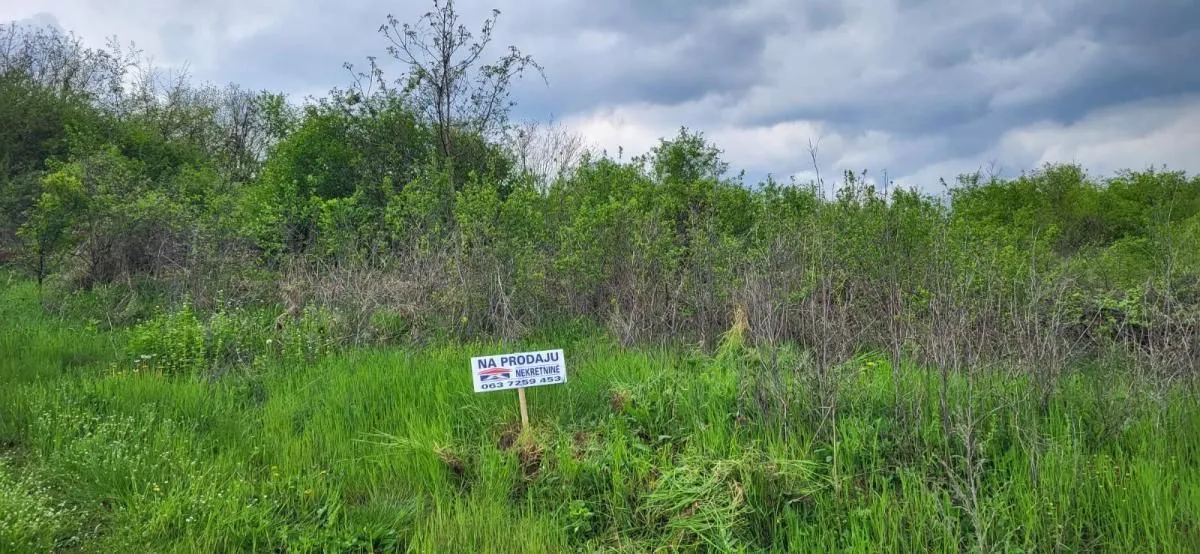 Sale, land lot, 2800m², Beočin, Srbija