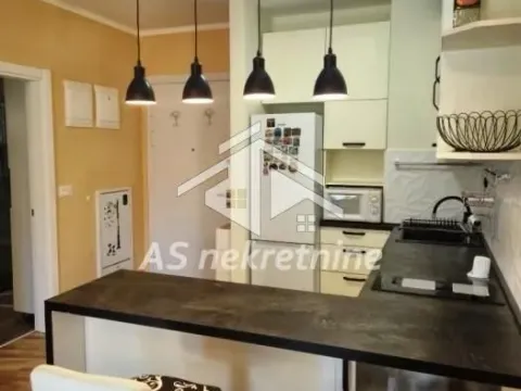 Izdavanje, stan, 37m², Zemun Sve Podlokacije, Beograd - image 8