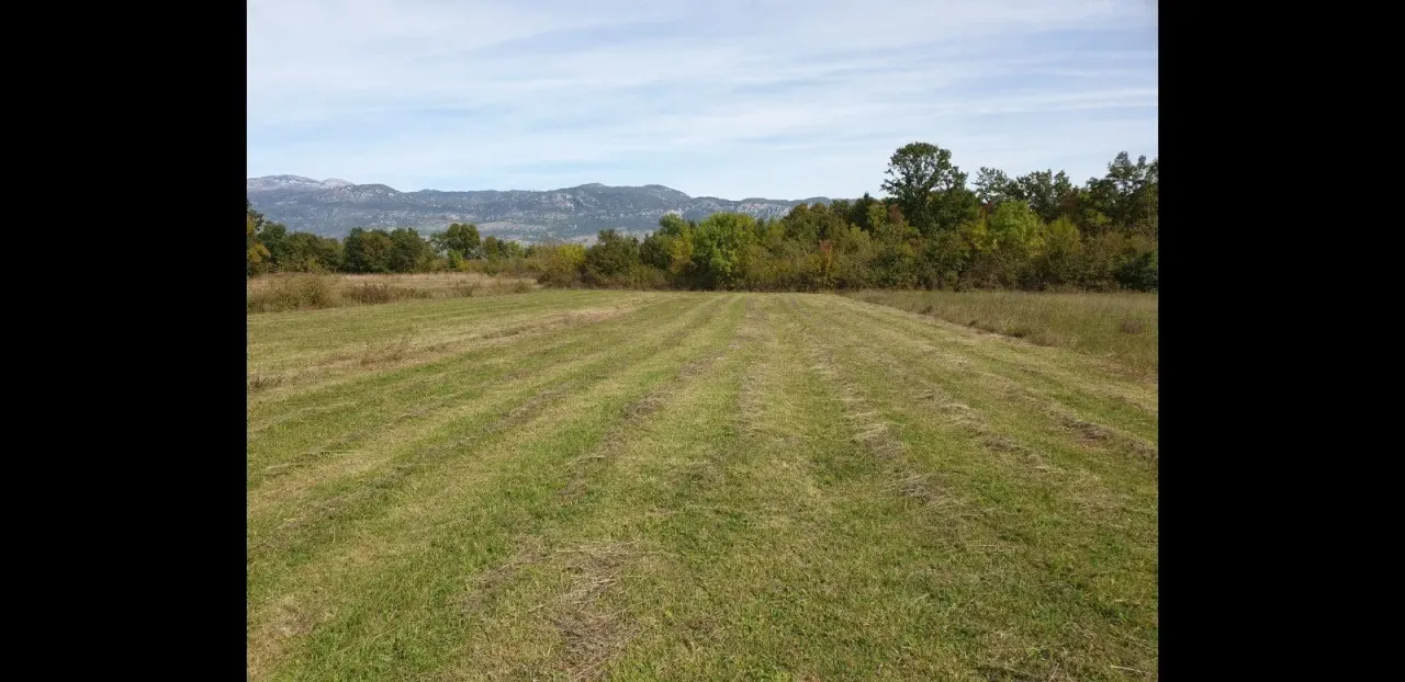 Prodaja, plac, 5554m², Jastreb, Danilovgrad