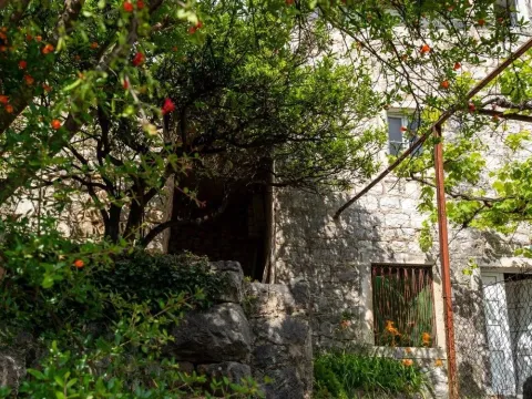 Prodaja, kuća, Dražin Vrt, Kotor - image 17