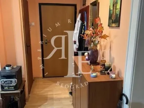 Izdavanje, dvosoban stan, 56m², Centar Sve Podlokacije, Beograd - image 7