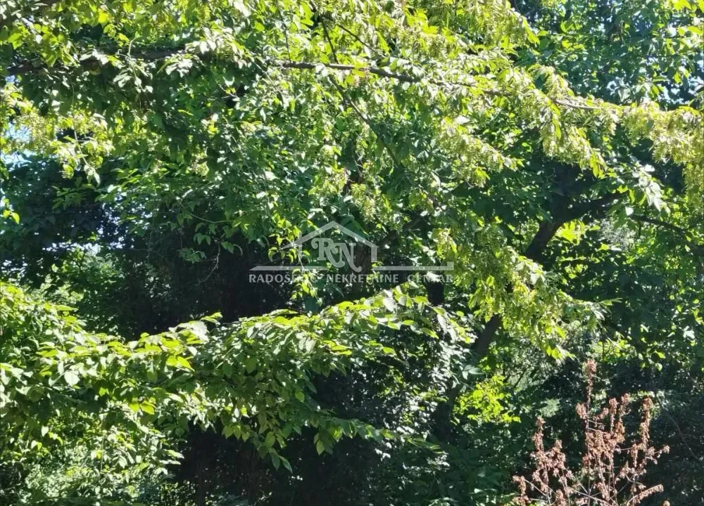 Sale, land lot, 1800m², Sopot, Beograd