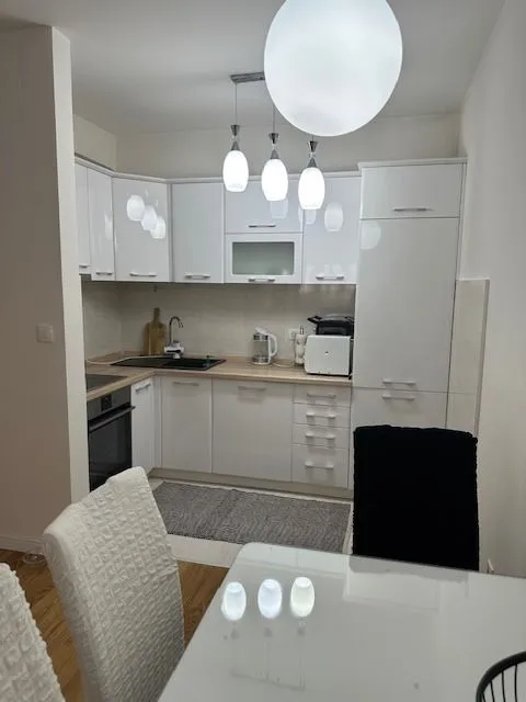 Rent, one bedroom apartment, 49m², Central Point, Podgorica