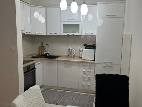 Rent, one bedroom apartment, 49m², Central Point, Podgorica - image 12