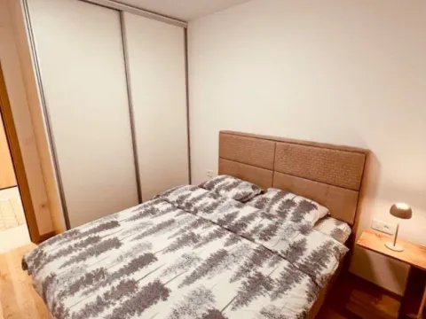 Izdavanje, jednosoban stan, 46m², City Kvart, Podgorica - image 6