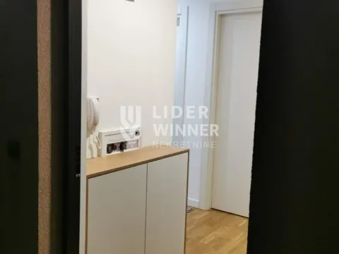 Rent, one bedroom apartment, 41m², Zemun Gornji Grad, Zemun Sve Podlokacije - image 10