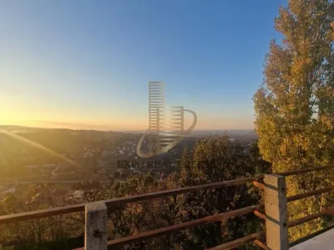 Prodaja, kuća, 550m², Sremska Kamenica, Petrovaradin - image 4