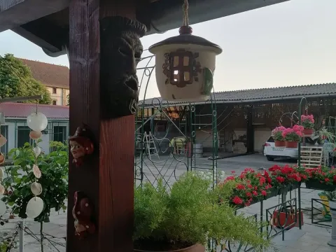 Prodaja, kuća, 350m², Srbobran, Novi Sad - image 6