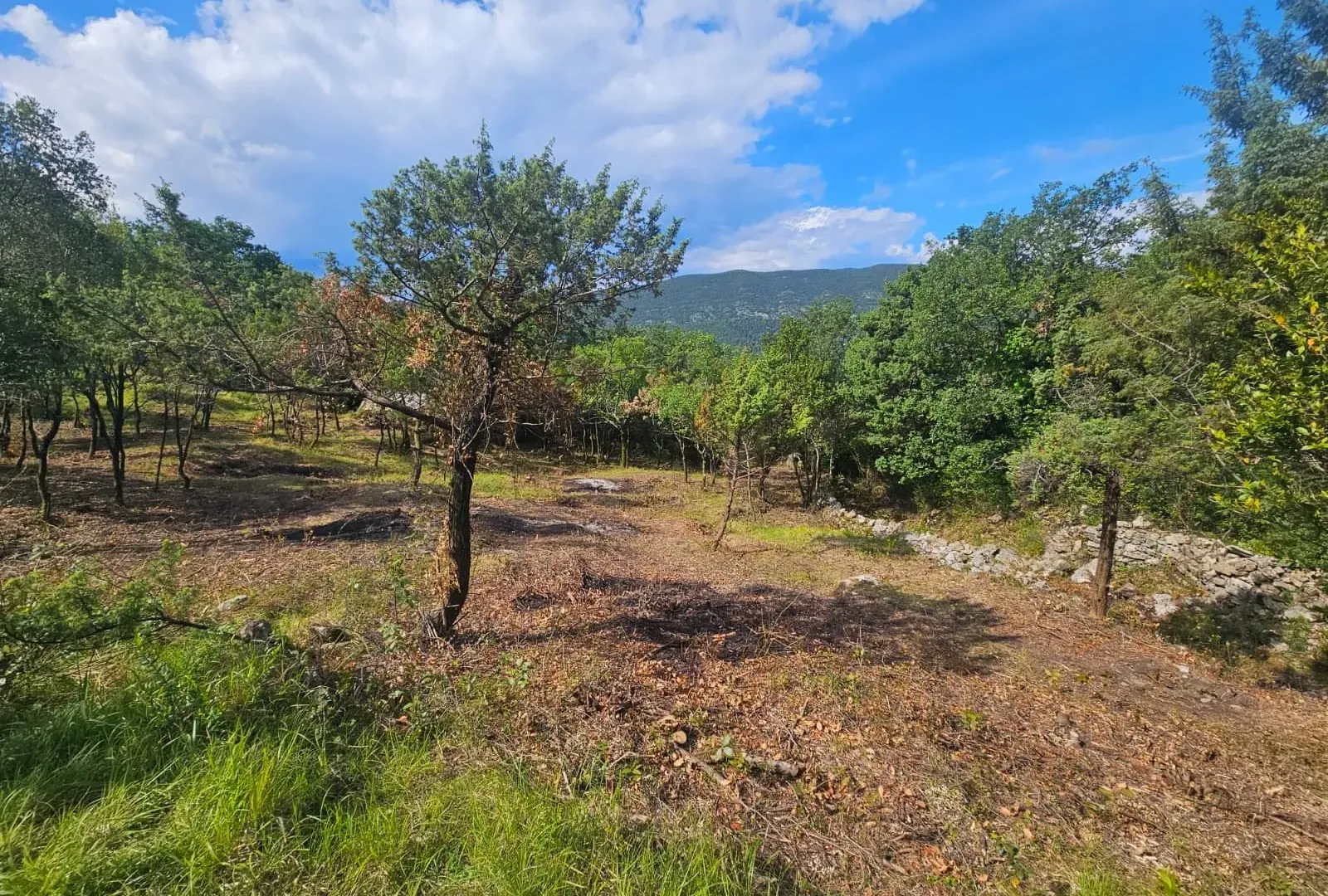 Prodaja, plac, 500m², Mojdež, Herceg Novi