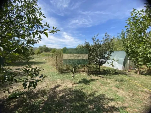 Sale, house, 70m², Novo Lanište, Jagodina - image 22