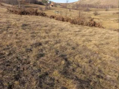 Sale, land lot, 3291m², Zlatibor, Srbija - image 3