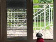 Rent, house, 240m², Donja Gorica, Podgorica - image 2