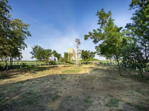 Prodaja, kuća, 275m², Srbobran, Novi Sad - image 26