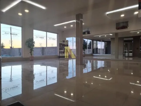 Rent, office space, 400m², Čenej, Novi Sad Sve Podlokacije - image 13